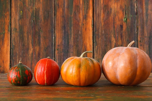 Pumpkins on weathered rustic wood table