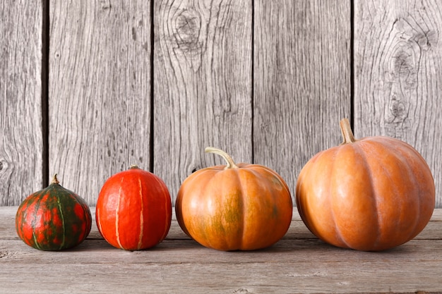 Pumpkins on weathered rustic wood table