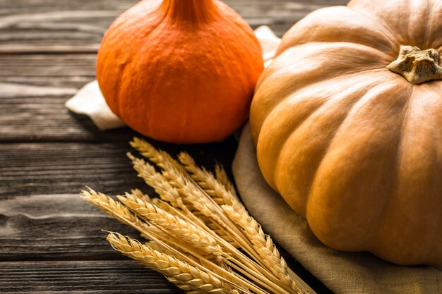 Pumpkins and wheat ears on a wooden surface