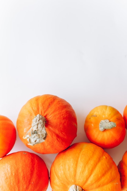 pumpkins on white background  