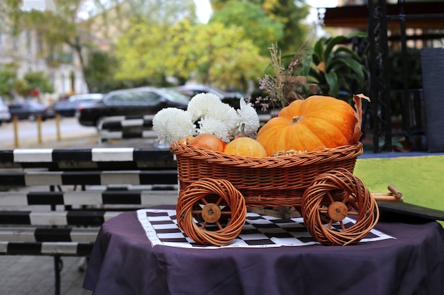 Pumpkins and white chrysanthemums in wicker basket stands on table Thanksgiving composition