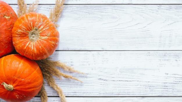 Pumpkins on white wooden background copy space Thanksgiving day banner autumn concept