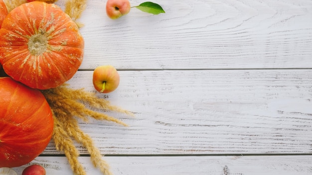 Pumpkins on white wooden background copy space Thanksgiving day banner autumn concept