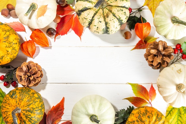 Pumpkins with autumn fall red yellow orange leaves nuts acorns autumn wild forest berries cones on white plank wooden table autumn harvest table background greeting card thanksgiving holiday