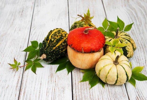 Pumpkins with autumn leaves