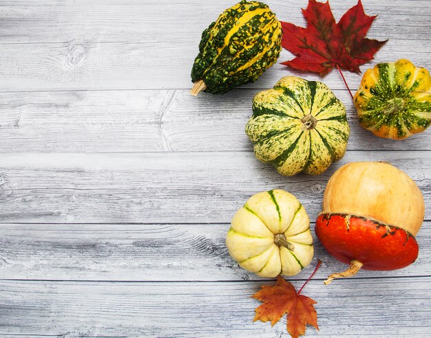 Pumpkins with autumn leaves