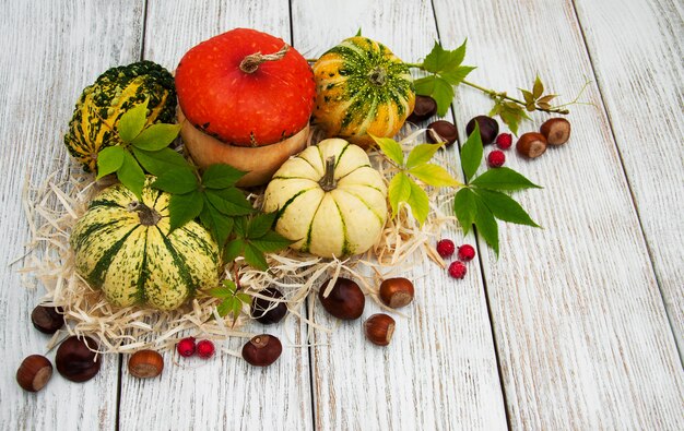 Pumpkins with autumn leaves