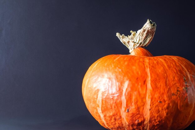 Pumpkins with beautiful patterns and natural motifs can be used for Halloween it's really charming