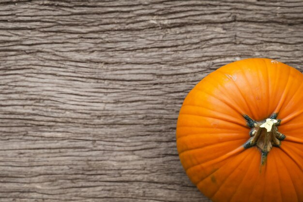 Foto zucche con bellissimi motivi e motivi naturali possono essere utilizzate per halloween è davvero affascinante