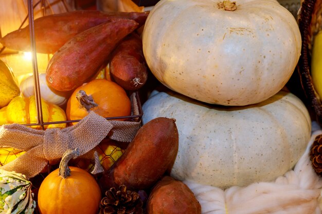 Pumpkins with different colours seasonal fruits and vegetables Thanksgiving day concept