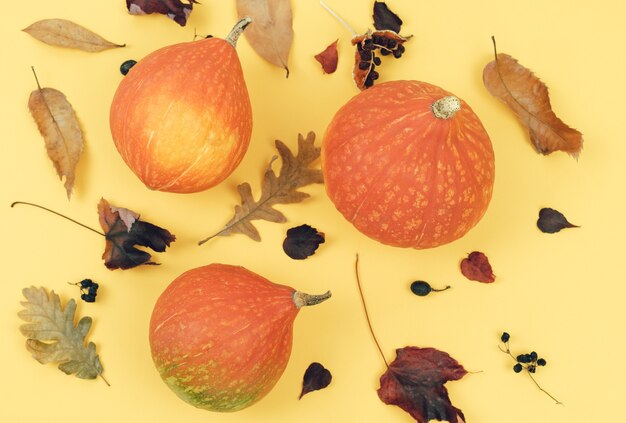 Pumpkins with dry leaves top view