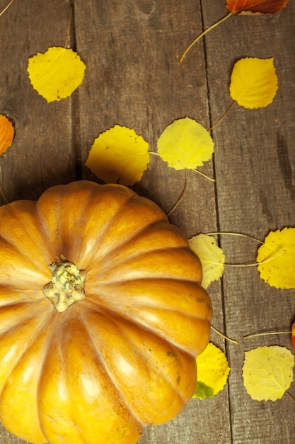 Pumpkins on wooden board