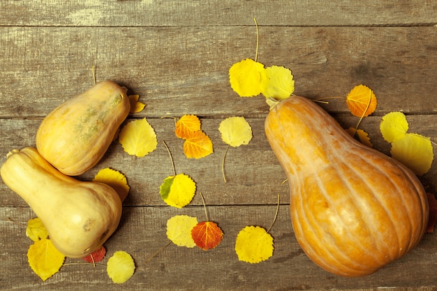 Pumpkins on wooden board