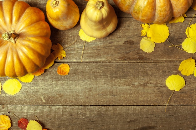 Pumpkins on wooden board