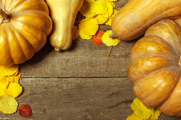 Pumpkins on wooden board