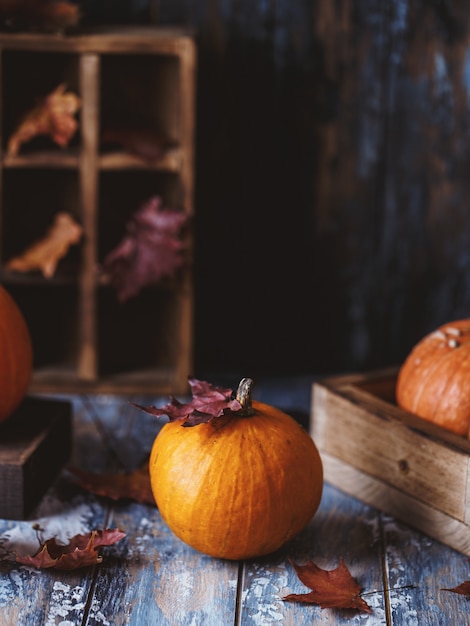 pumpkins on wooden table. Autumn composition with pumpkins.