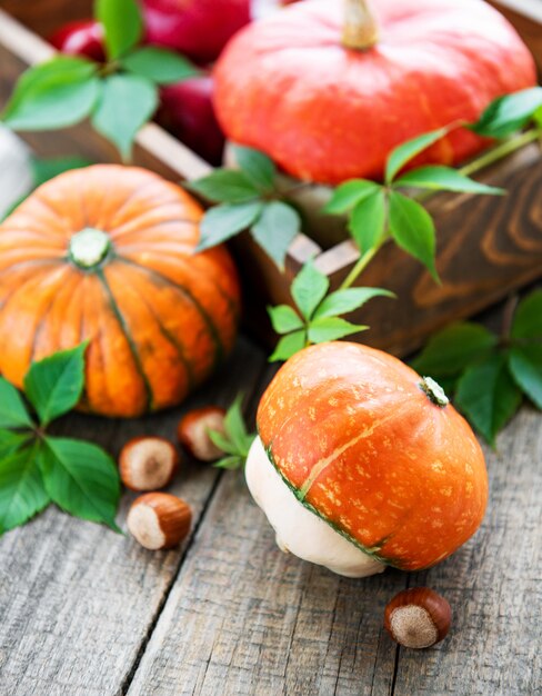 Pumpkins on a wooden table