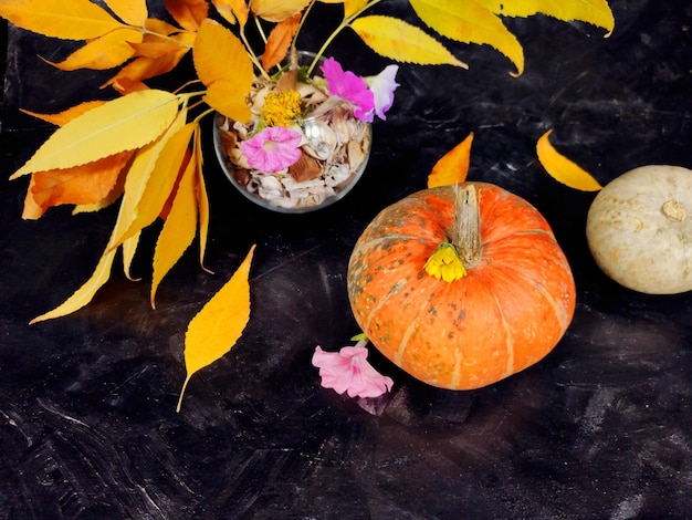 Pumpkins among yellow dry leaves autumn background