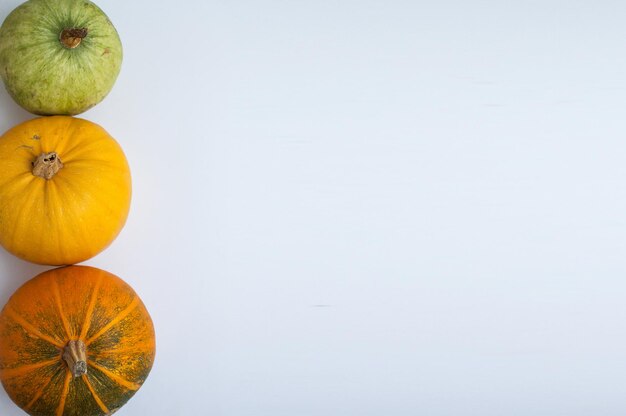 Pumpkins of yellow, orange and green colors on a white background with space for text