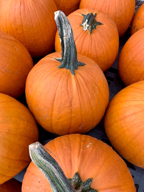 Pumpkins