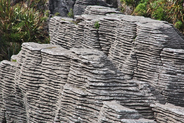 Punakaiki rocks on South island in New Zealand