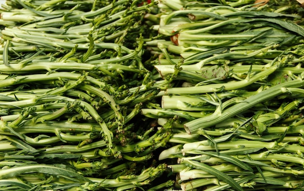 Puntarelle, aspergewitloof op een boerenmarkt