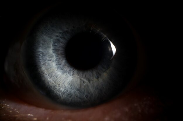 Pupil of a person peeps out of dark background