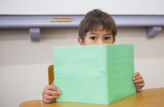 Pupil reading book at desk