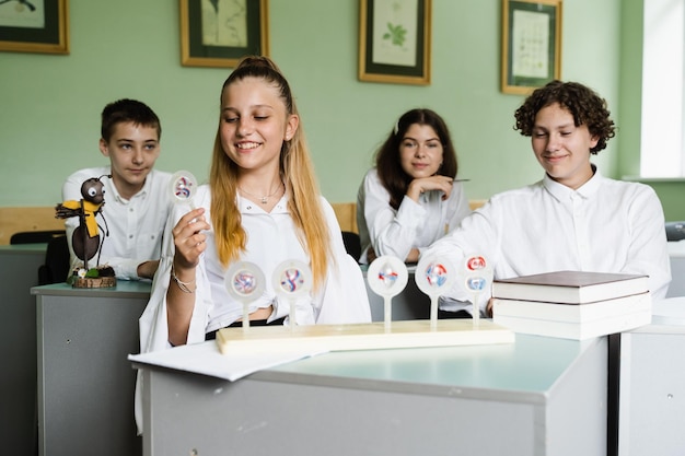 Pupils at biology lesson at school with animal cell models on the table Biology teacher gives a lesson to schoolchildren in classroom Education at school of biology and chemistry