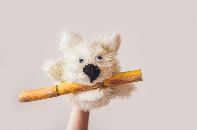 Puppet show dog on a gray background