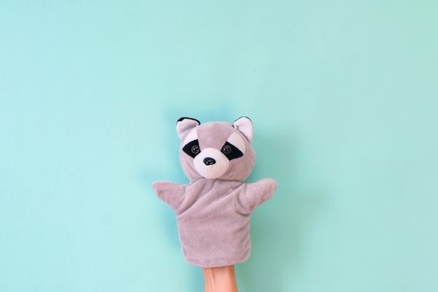 Puppet theater toys on a hand on a turquoise background. Childrens entertainment concept. Raccoon