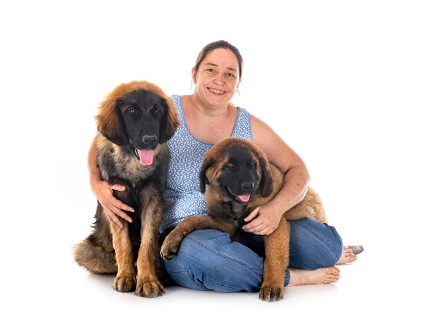 Puppies Leonberger and owner