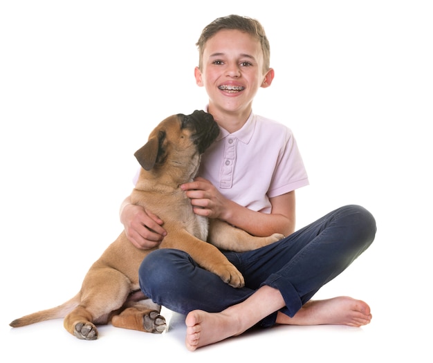 puppy bull mastiff and child