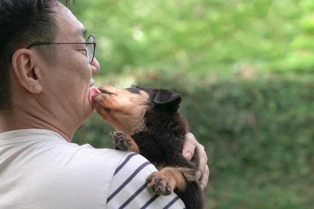 Puppy hondje likt volwassen mannetje op zijn gezicht