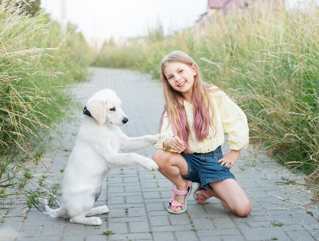 Puppy labrador retriever and little girl Little girl playing with golden retriever