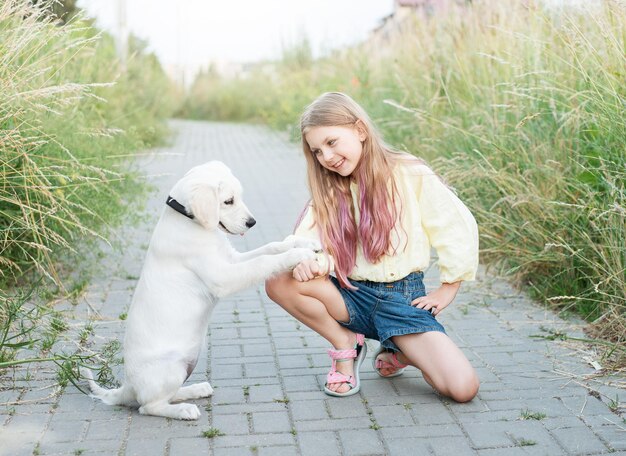 Puppy labrador retriever and little girl little girl playing with golden retriever