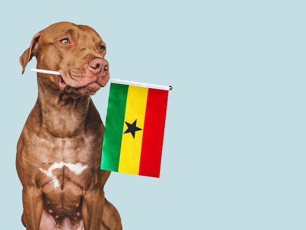 Puppy met de nationale vlag van Ghana