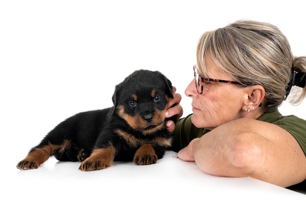 Puppy rottweiler and woman