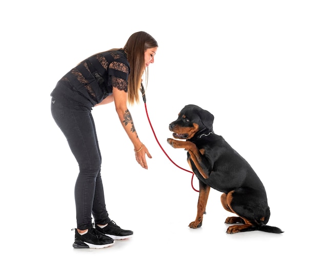 Puppy rottweiler and woman