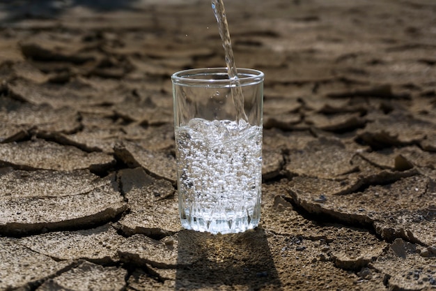 L'acqua fresca e pura viene versata in un bicchiere di vetro in piedi nel mezzo di una terra deserta arida