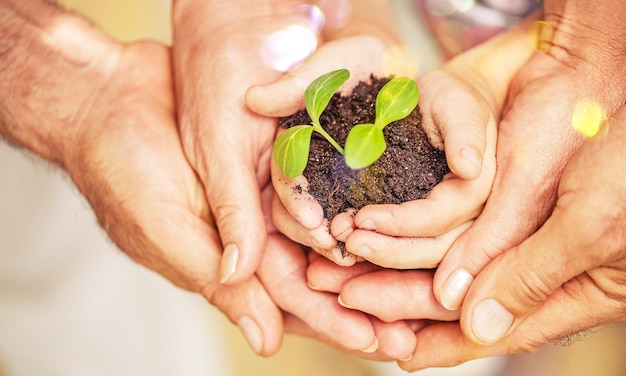 Pure green plant with soil in human