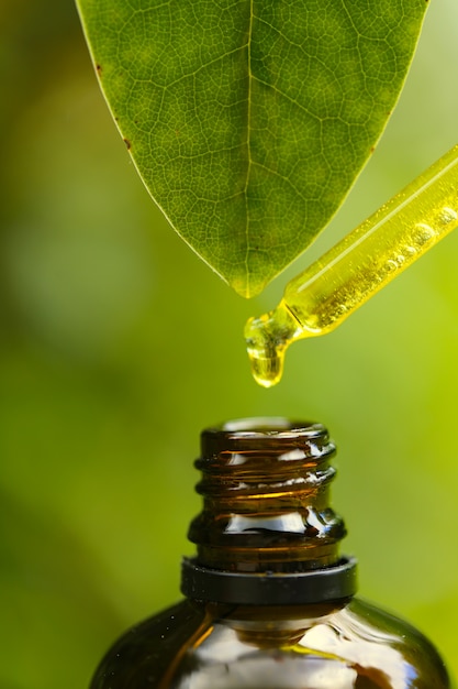 Foto olio naturale puro. pipetta di vetro con olio essenziale naturale puro e una foglia verde con una goccia di olio d