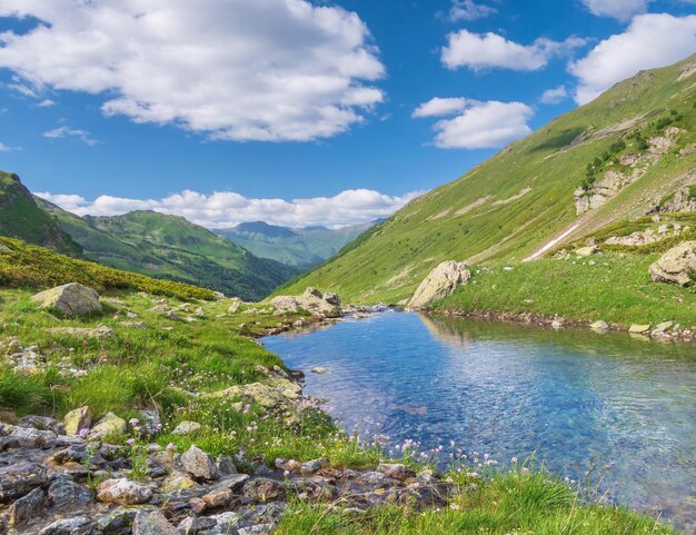 Pure river in mountain valley