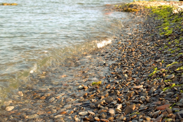 A pure transparent sea wave rolls over the rocky pebble shore the concept of rest and travel tranquility relaxation and reflection on a warm summer day closeup