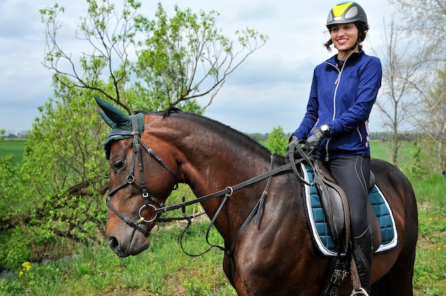 Purebred horse with a rider on a rapeseed field