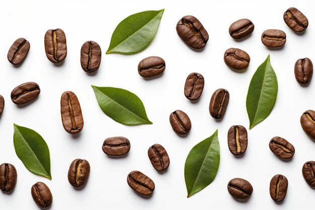 Photo purely organic coffee beans and leaves harmony ar 32