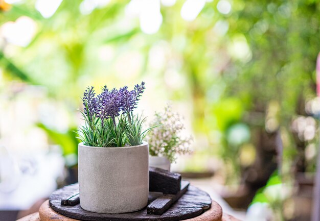 Purpere bloem in de pot op klassiek hout