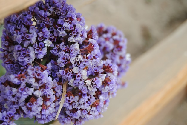 Purpere bloemen met vage houten omheining op de achtergrond