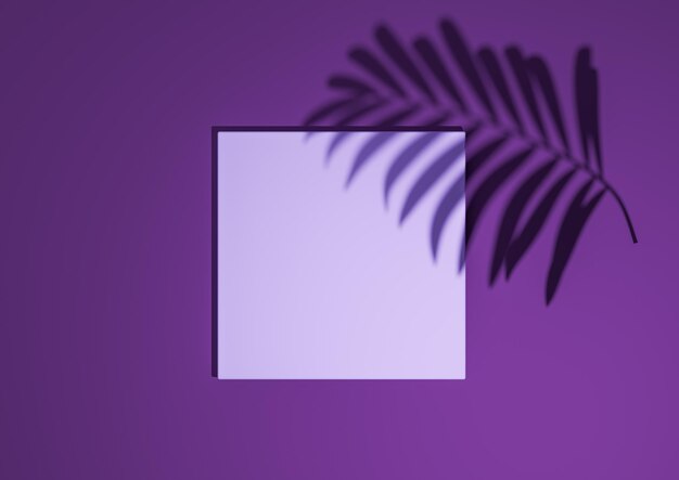 Purple 3D minimal simple top view flat lay product display background podium stand palm leaf shadow