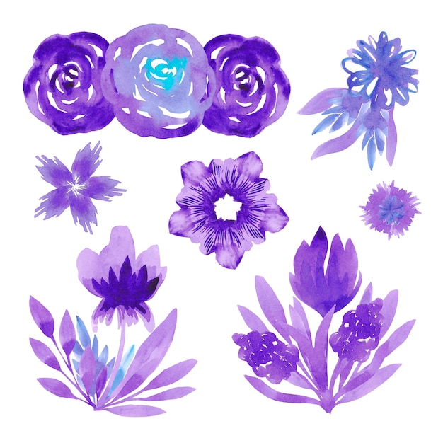 Purple abstract set of flowers and leaves Hand drawn watercolor isolated on white background Can be used for cards patterns label and other printed products